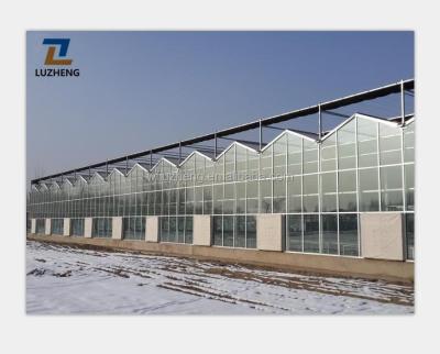 China Vegetable Flowers Multi-span Glass Fruit Greenhouse For Vegetable / Flower / Fruits With Complete System / Hydroponic Systems. for sale