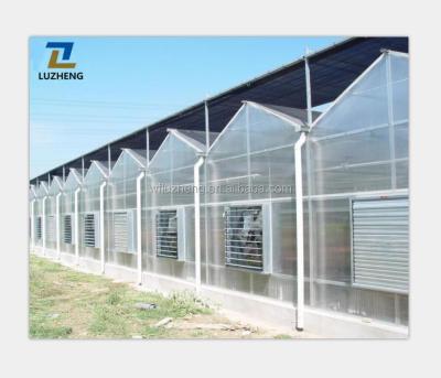 China Multi-span Polycarbonate Flower Fruit Greenhouses Multi-span Polycarbonate Fogproof Leaf Vegetable Greenhouse PC Sheet Cover Agricultural Greenhouse For Plants Growing for sale