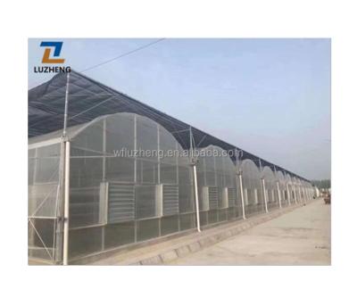 China Vegetable Multi Span Fruit Flowers Hydroponics Film Irrigation System Plastic Film /Po Film Greenhouse for sale