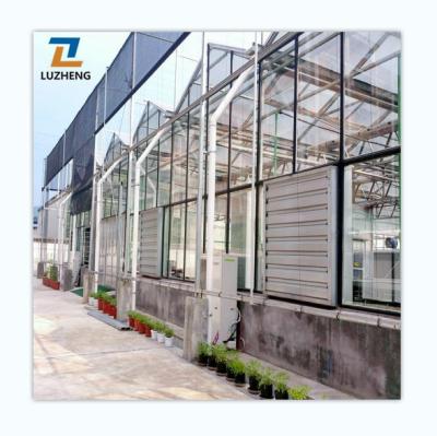 China Intelligent Multi-span Fruit Vegetable Flowers Agricultural Glass Greenhouse With Hydroponic System For Vegetable Planting for sale