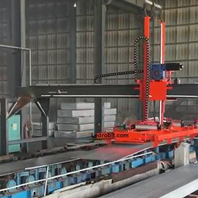 China Automatic Floor Palletizing Machine automated palletizer Custom Conveying for sale