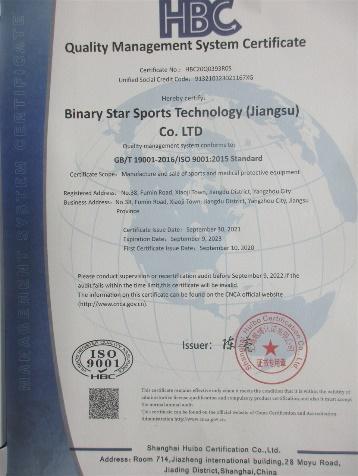 ISO9001 - Binary Star Sports Technology (Jiangsu) Co.LTD