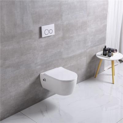 China Concealed Cistern European Wall Hung Bidet Toilet Specifications Factory Manufacturer Sanitary Toilet Various for sale