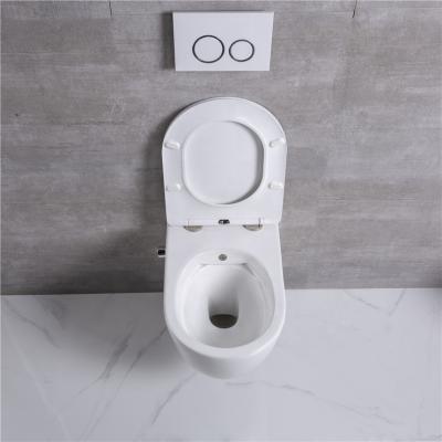 China Factory Direct Sales Reasonable Price Concealed Toilet Cistern Wall Hung Bidet Toilet for sale