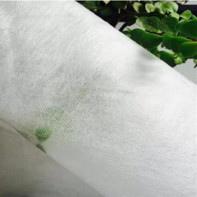 China Polyvinyl Alcohol Water Soluble Fabric Stabiliser For Embroidery for sale