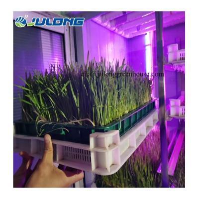 China Output of 1000-1500KG steel plate per day fodder grow container greenhouse for wheat, crons, alfalfa grass for sale