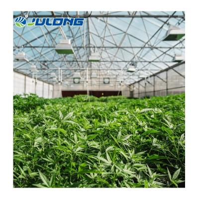 China Full Automatic Simple Medicinal Plants Span Arch Greenhouse Blackout Light Deprivation Greenhouse For Medicinal Plants for sale