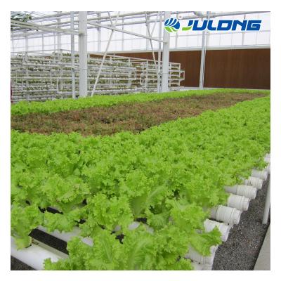 China Simple structure and assemly easy multi-span film garden flower vegetables greenhouse with nft and dwc hydroponic system for sale