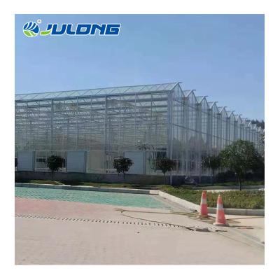 China Simple structure and easy assemly commercial multi-span turnkey structure venlo project glass greenhouse for tomato for sale