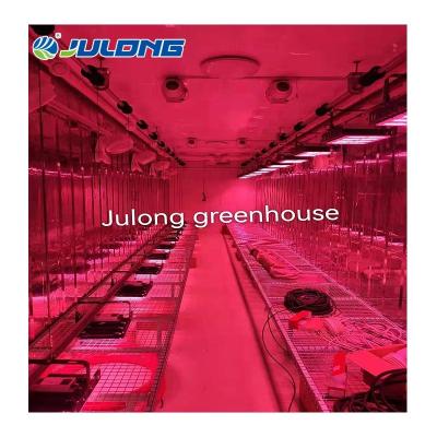 China 40feet Agriculture Hydroponic Planting Medicinal Plants Growing Container Blackout Greenhouse for sale