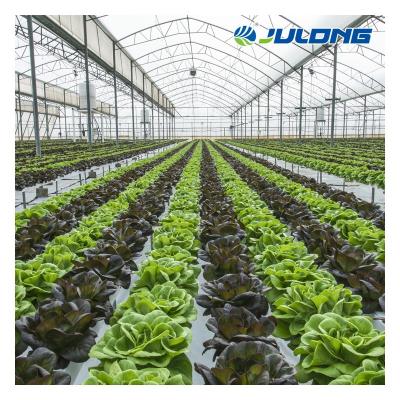 China Simple structure and assemly 2022 Newly Agricultural Greenhouse Easy With Vertical Hydroponics System for sale