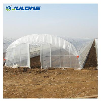 China Simple structure and easy assemly Chinese Tunnel Single-span plastic sheet low cost hydroponic greenhouses for sale