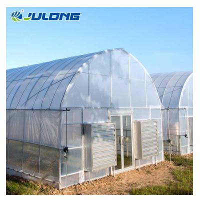 China Simple structure and easy assemly low cost tunnel single-span greenhouses with hydroponic growing system for sale