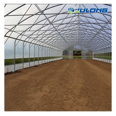 China Easy agricultural hydroponics film assemly growing tunnel Single-span greenhouse for sale for sale