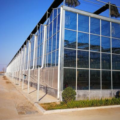 China Simple structure and easy professional assemly used vertical agriculture grow equipment hydroponics glass greenhouse for sale for sale