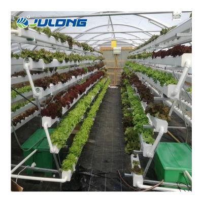 China Eco-friendly Agricultural Intelligent Equipment Multi-span Hydroponics Vegetables Glass Greenhouse for sale