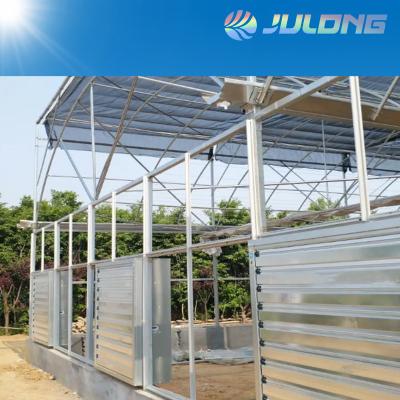 China Simple structure and easy assemly double layer high quality plastic film greenhouse with good insulation ability for sale for sale