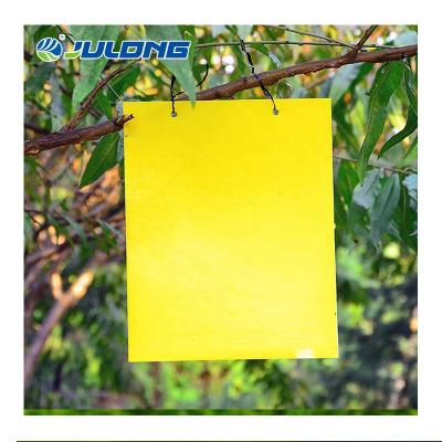 China Stocked Insect Plate Pest Control Fruit Fly Sticky Traps Sticks Double Yellow Board for sale