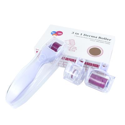 China Anti Hair Removal ZL Micro Needle System 3 IN 1 Derma Roller Kit With 180 600 1200 Micro Needle Replaceable Derma Roller Head for sale