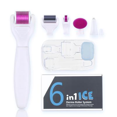 China SQY Anti Hair Removal 6 in 1 Micro Ice Roller Needle Derma Roller Ice Roller for Face for sale