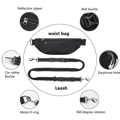 China Lights Dog Leash Hands Free Waist Bag With Zipper Pouch Reflective Brand Waterproof Expandable Bungee For Small Medium Pet Walking for sale