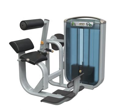 China The Most Popular Use Commercial Indoor Gym Equipment For Extension Back Pin Loaded Fitness Equipment for sale