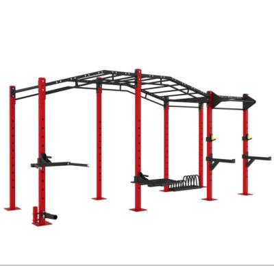 China CF 02 Fitness Gym Equipment Commercial Gymnasium Equipment Free Customized Exercising Cross Fitness Rack Climbing Rack for sale