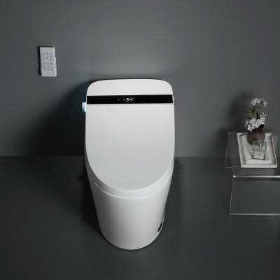 China Automatic Operation Automatic Function Reservoir Electronic Luxury Toilet Bidet Descent Ceramic Toilet for sale