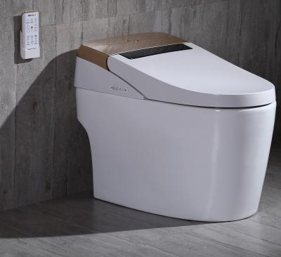 China Electronic Hot Sales Bathroom Bidets Western Toilet for sale