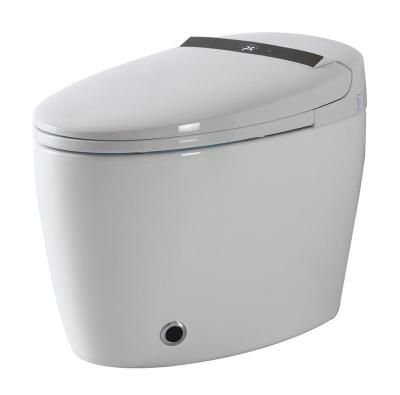 China Electronic Bidets Bathroom Bidet With Soft Close Function for sale