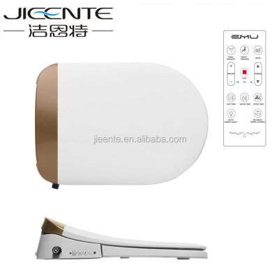 China Electronic Bidets Fashion Slim Design Intelligent Remote Control Smart Toilet Seat for sale