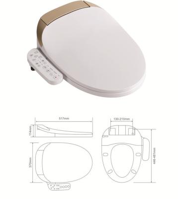 China Heated & Drying Smart Functions Electronic Bidet for sale