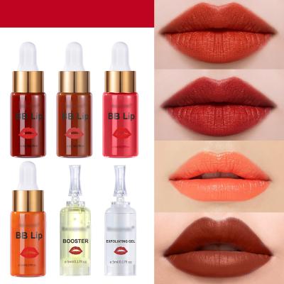 China Waterproof Semi Permanent Micro Cut Lipstick Microneedle Matte Lip Gloss Liquid Lip Gloss Set for sale