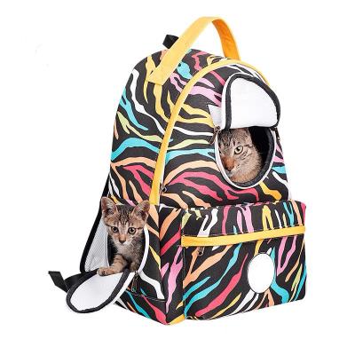 China Breathable Pet Carrier Rides Cat Bubble Shoulder Bag Approved To Air Transparent Space Capsule Dome Backpack for sale