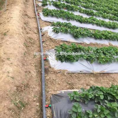 China Farm Vegetable Drip Irrigation With Flat Emitters Inside, China Drip Irrigation for sale