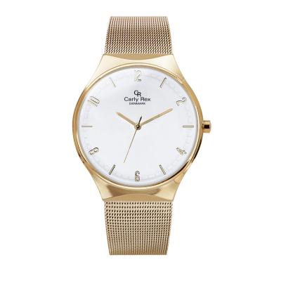 China Water Resistant OEM Gold Mesh Band Alloy Clean Design Analog Slim Gents Watch for sale