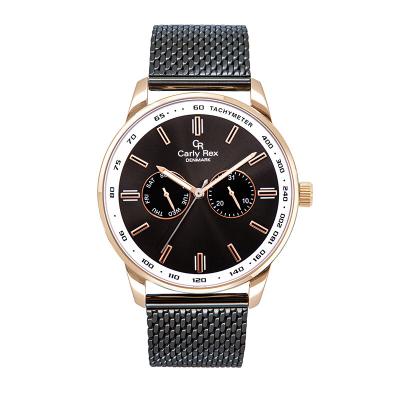 China Classic OEM Rose Gold Analog Multi Function Day/Date Stainless Steel Gents Watch for sale