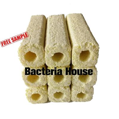 China Viable Chemical Ceramic Filter Bacteria House Improve Milliporous Oxygen Capacity Bacteria House Filter for sale