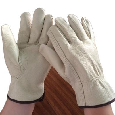 China Adiabatic Noise Fleece Fashion Warm Leather Glove, Driver Gloves, Women Showing Gloves for sale