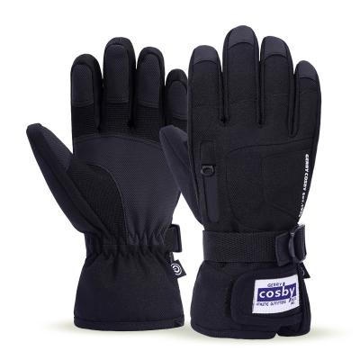 China Hot Price Enthusiast Ski Mitt Snowboard Ski Gloves Winter Sports Women Outdoor Warm Gloves for sale