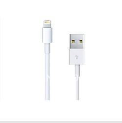 中国 usb ケーブルへの白 8 Pin の iPhone 5 電光 USB ケーブル/iphone 5 電光 販売のため