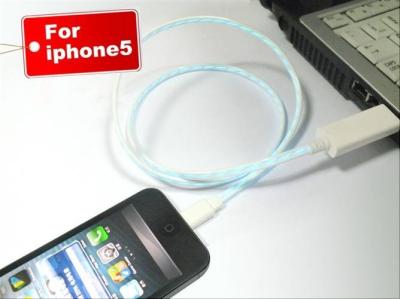 China Iphone 5 Lightening Cable Apple iPhone Accessory for iPad Mini , iPad 4 for sale