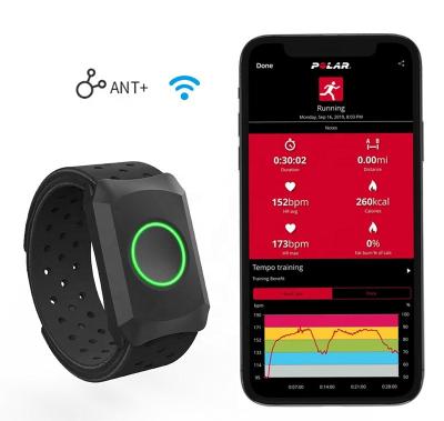 China Smart Wearable Wristband BLE ANT+ Technology Heart Rate Monitor Armband For Group Fitness Exercise for sale