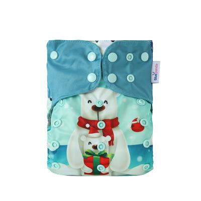 China Plant Printed Bamboo Washable Diapers Cloth Reusable For 8 Months Baby And , Cloth Baby Diapers for sale