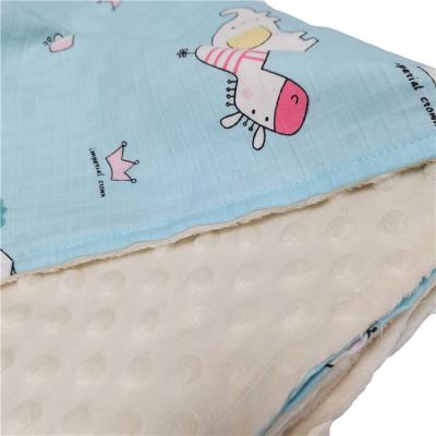 China American Style Minky Cloth Blanket Washable Customized Minky Blankets for sale