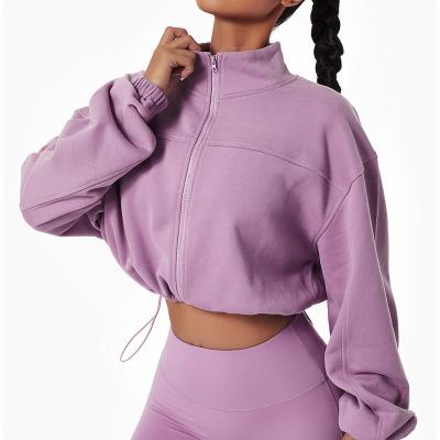 China 2023 Anti-Wrinkle Women's Custom Logo Girls Streetwear Plain Pullover Sweatshirts for sale