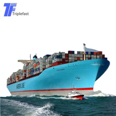 China Sea Freight Forwarders to Sea Freight from USA to USA China Top 10 Freight Forwarders Shipping Services for sale