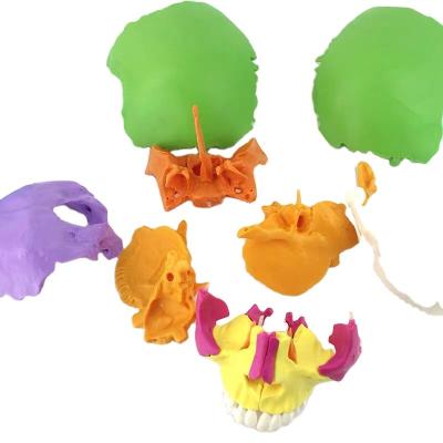 China Didactic Exploded Cranial Model 22 Parts Chromatic Life Size for Medical Teaching Learning Student Learning Education Display for sale