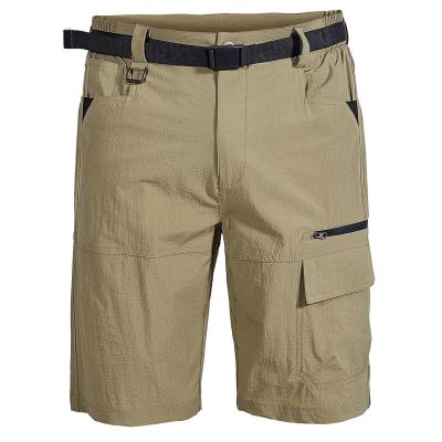 China Anti-Wrinkle Quick Dry Hiking Shorts for sale