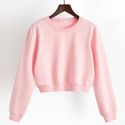 China Anti-pilling Women Sweatshirt Extra Long Sleeve Sweatshirt Without Hood for sale